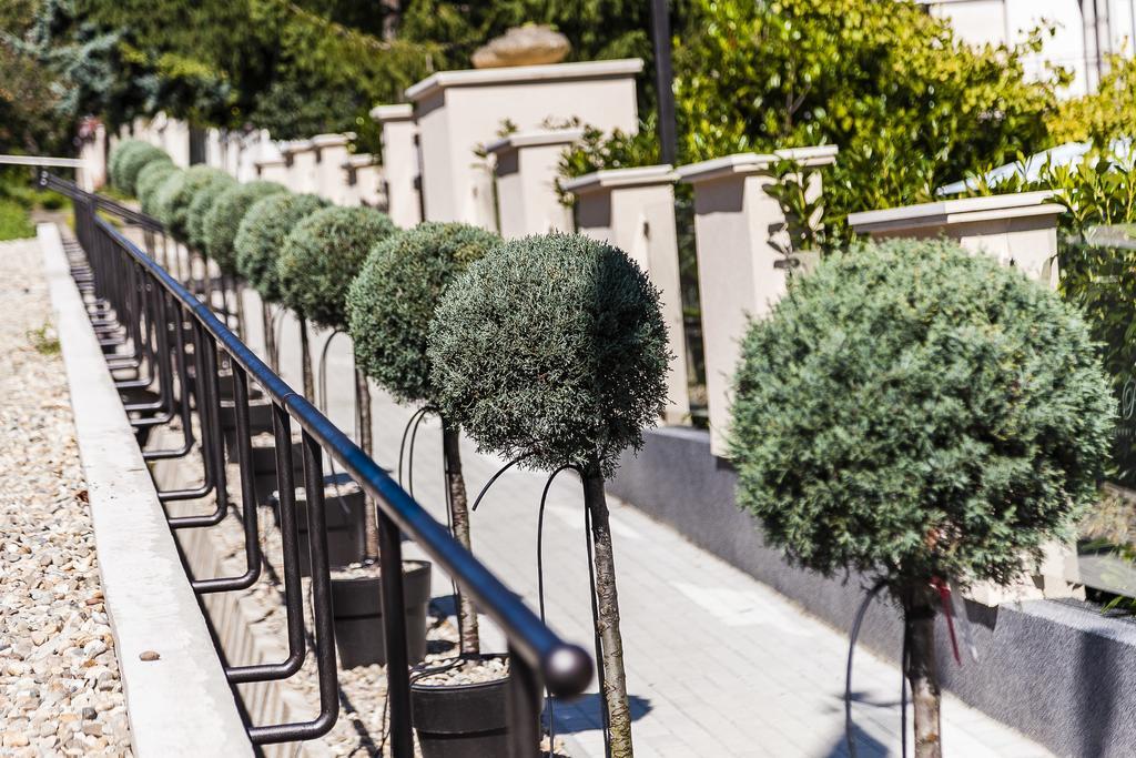 Villa Rosa Boutique Hotel Budapeşte Dış mekan fotoğraf
